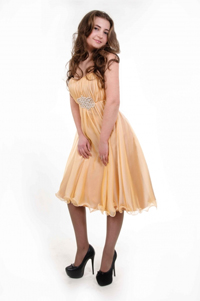 У нас можно купить Вечерние платья оптом (Украина, Черновцы).